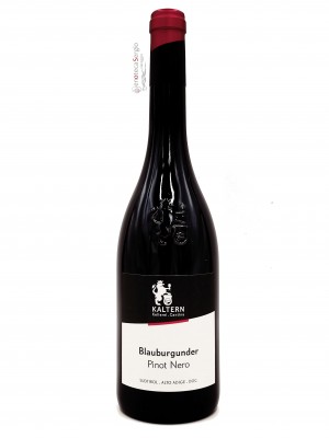 Pinot Nero  2019 Bottiglia 0,75 lt