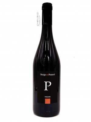 Pinot Nero Paradis 2019 Bottiglia 0,75 lt