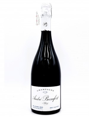 Brut Millesimé  2004 Bottiglia 0,75 lt