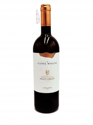 Pinot Grigio  Vigna Castel Ringberg 2020 Bottiglia 0,75 lt